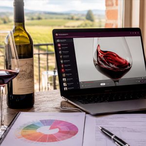 Aprende a catar como un jurado de concurso mundial de vinos